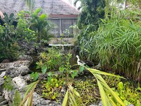 Pond