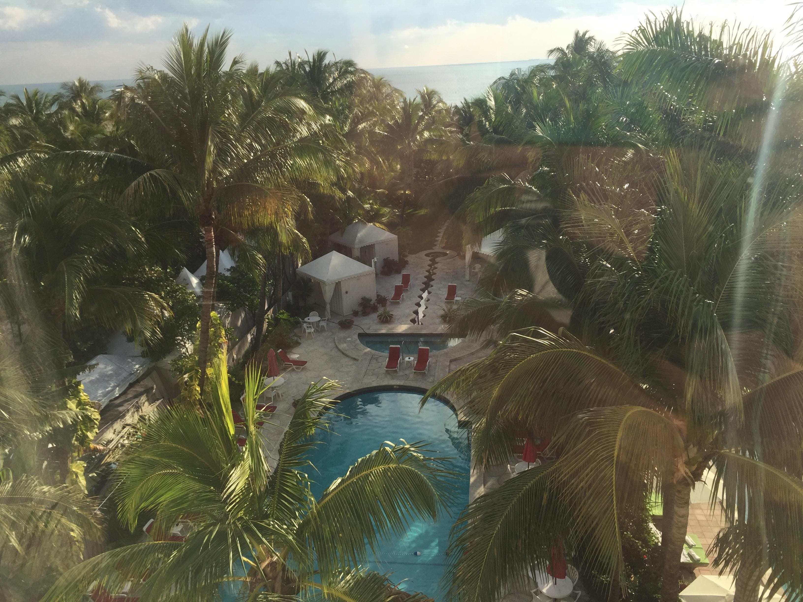 Morning view from our room
