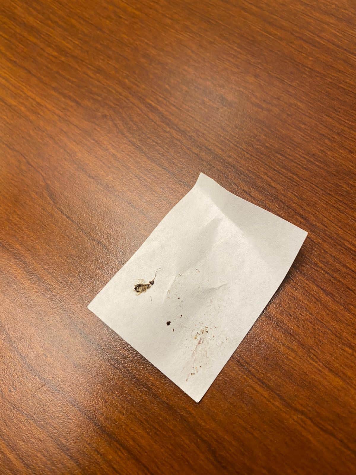 More roaches