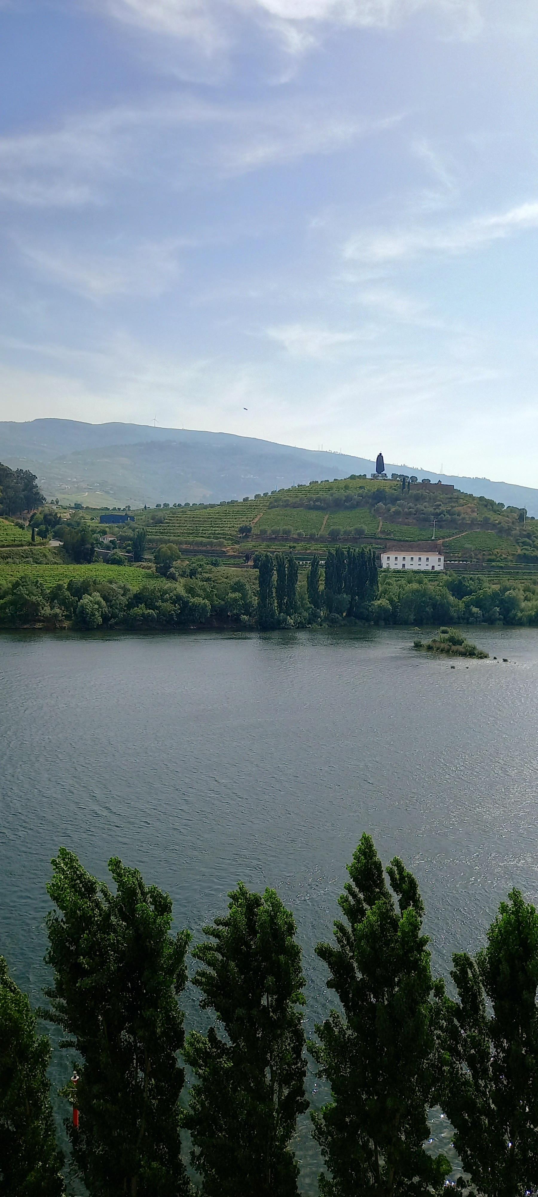 Le Douro et les vignes