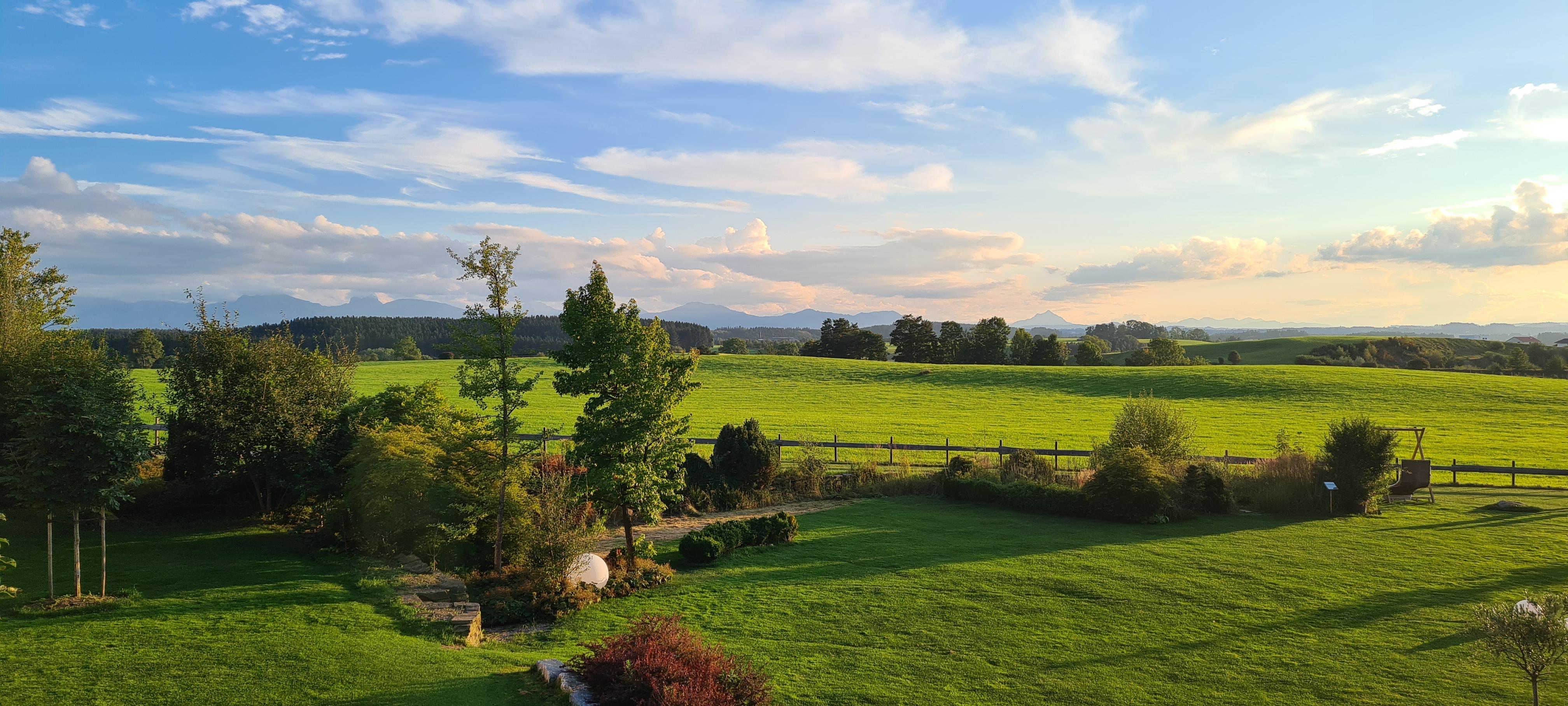 Ausblick vom Balkon 