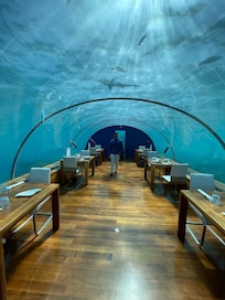 Itha Conrad Restaurant