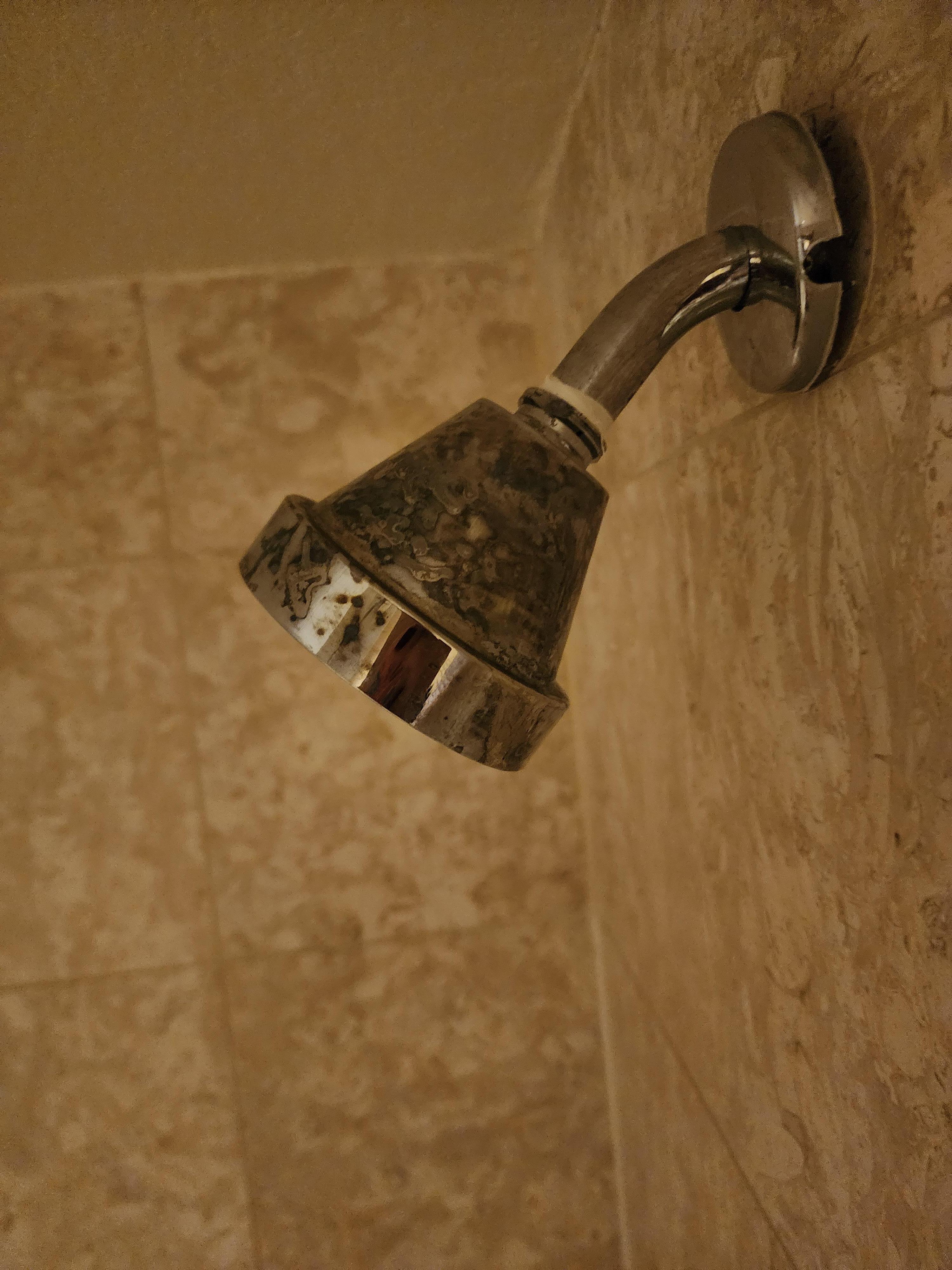 Showerhead