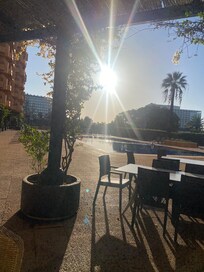 Beautiful morning