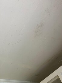 Mould in the bathroom roof due to defect ventilation