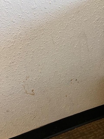 More stains on walls