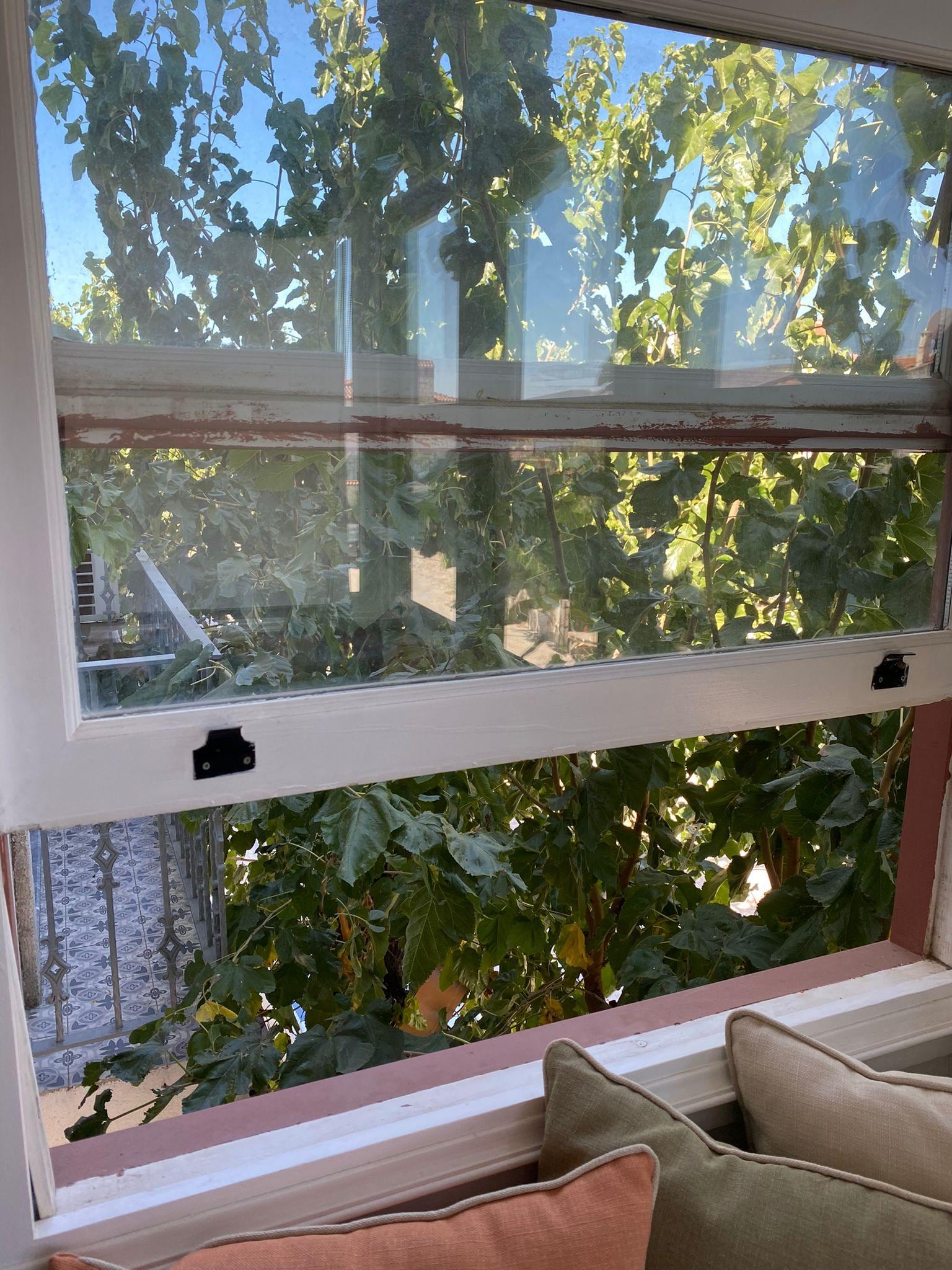 Cumbalı oda akşam pencere