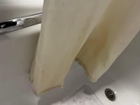 Dirty Shower Curtains