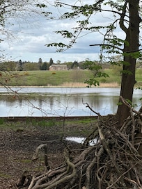 Local walk