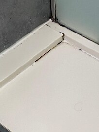 Black Mold in the shower