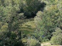 Vista dalla camera