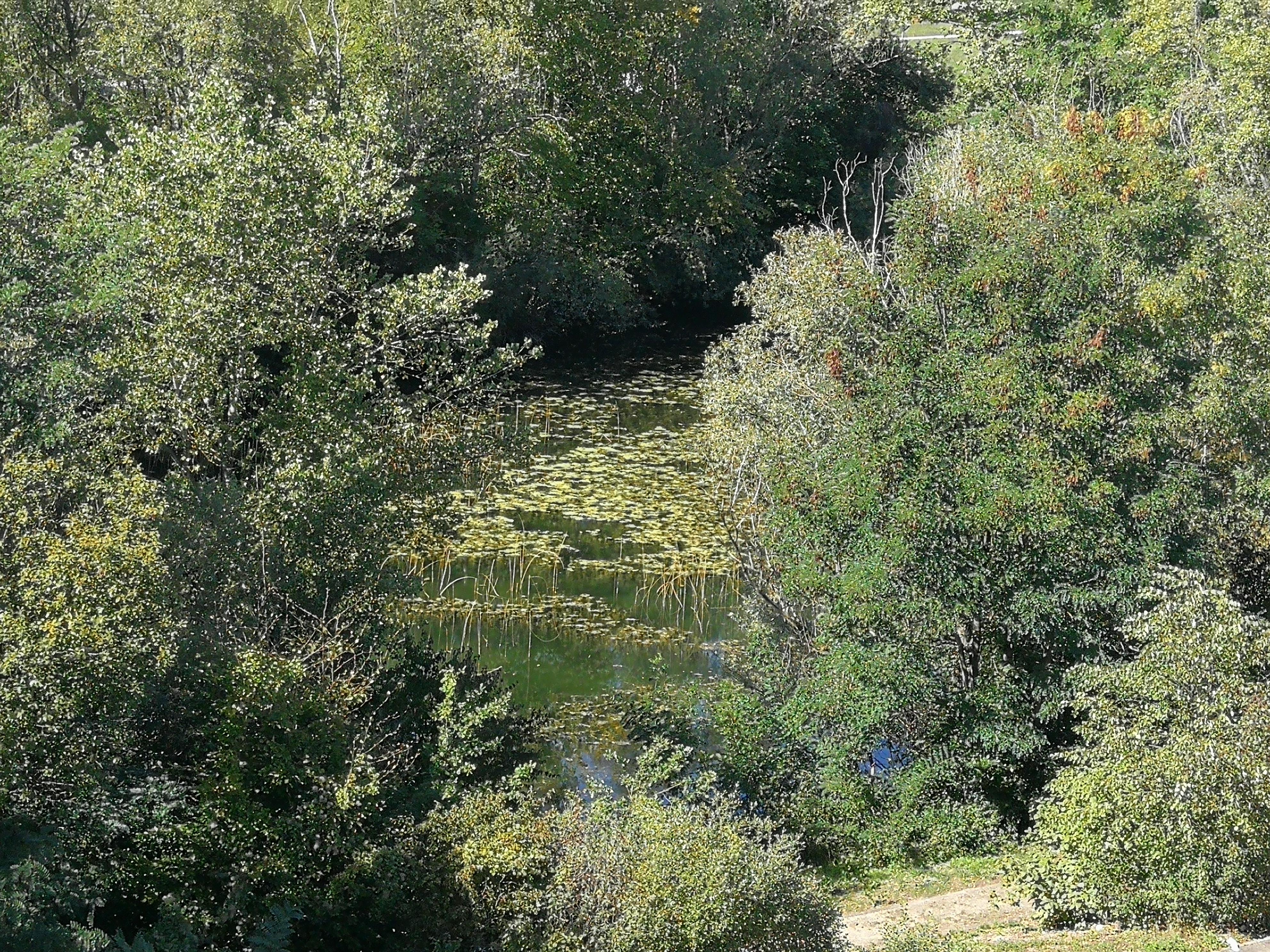 Vista dalla camera 