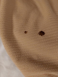 Dried feces on the blanket!