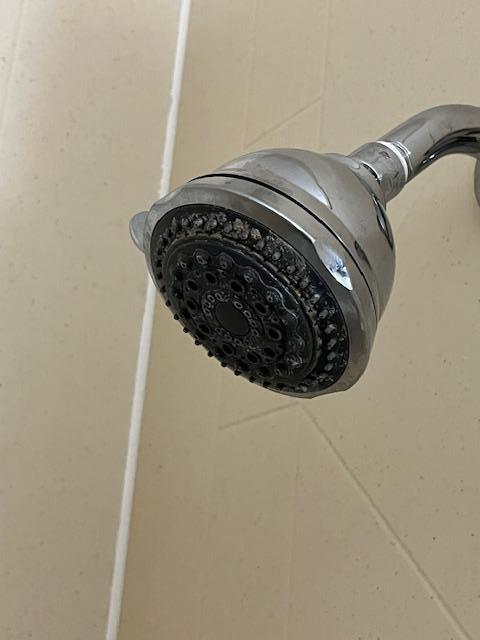 Shower head that needed CLR