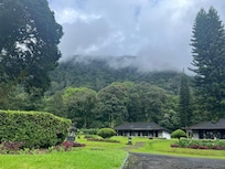 Such beauty everywhere