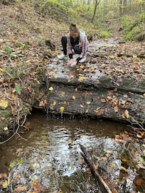 The “tiny waterfall” can be seen from the upstairs balcony of the cabin