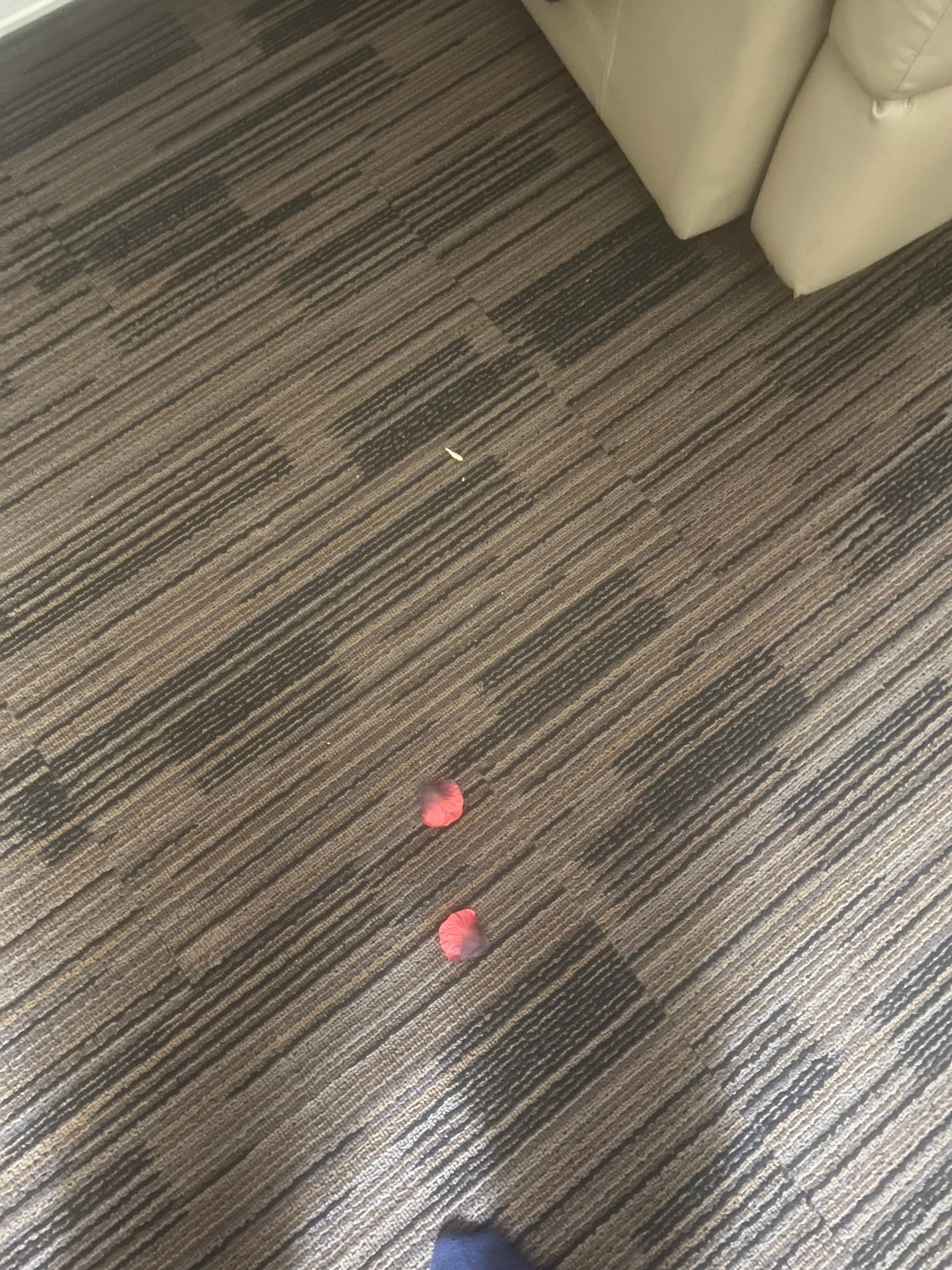 Flower petals and food on ground