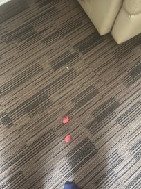 Flower petals and food on ground