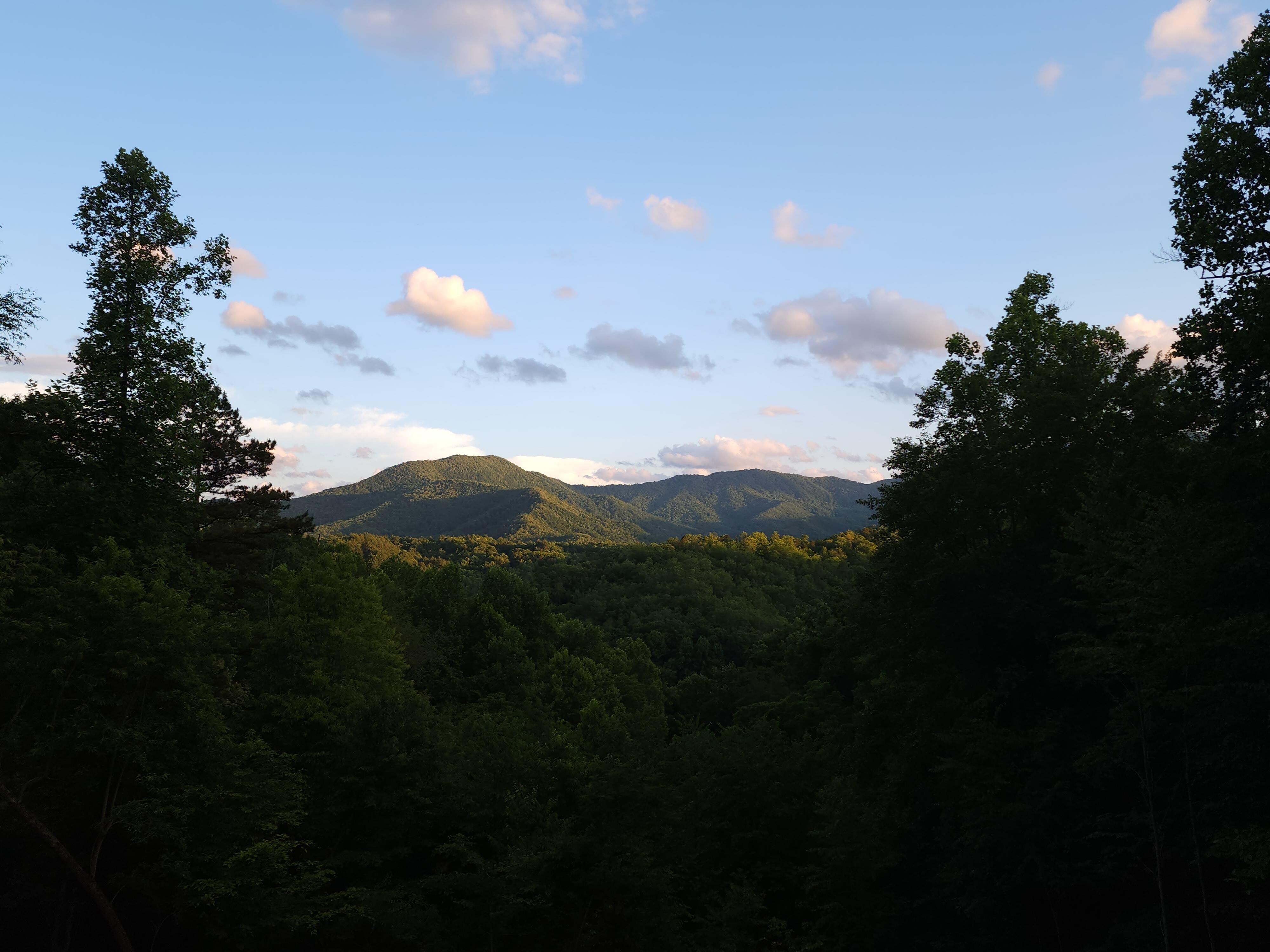 View from porch