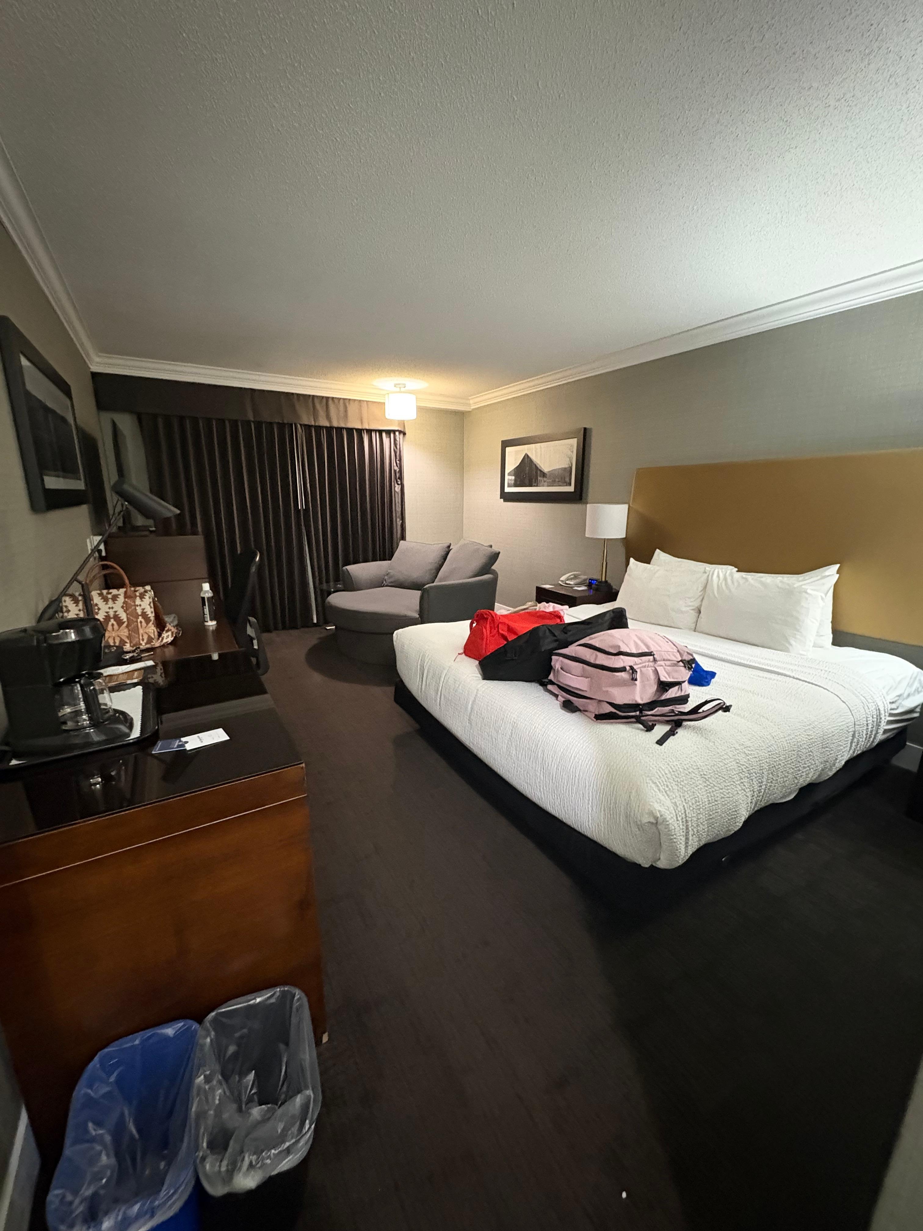Spacious room and comfy bed!