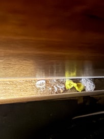 Una muestra de lo
Cochina que está la habitación