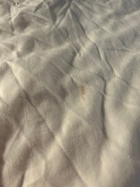 Bedding