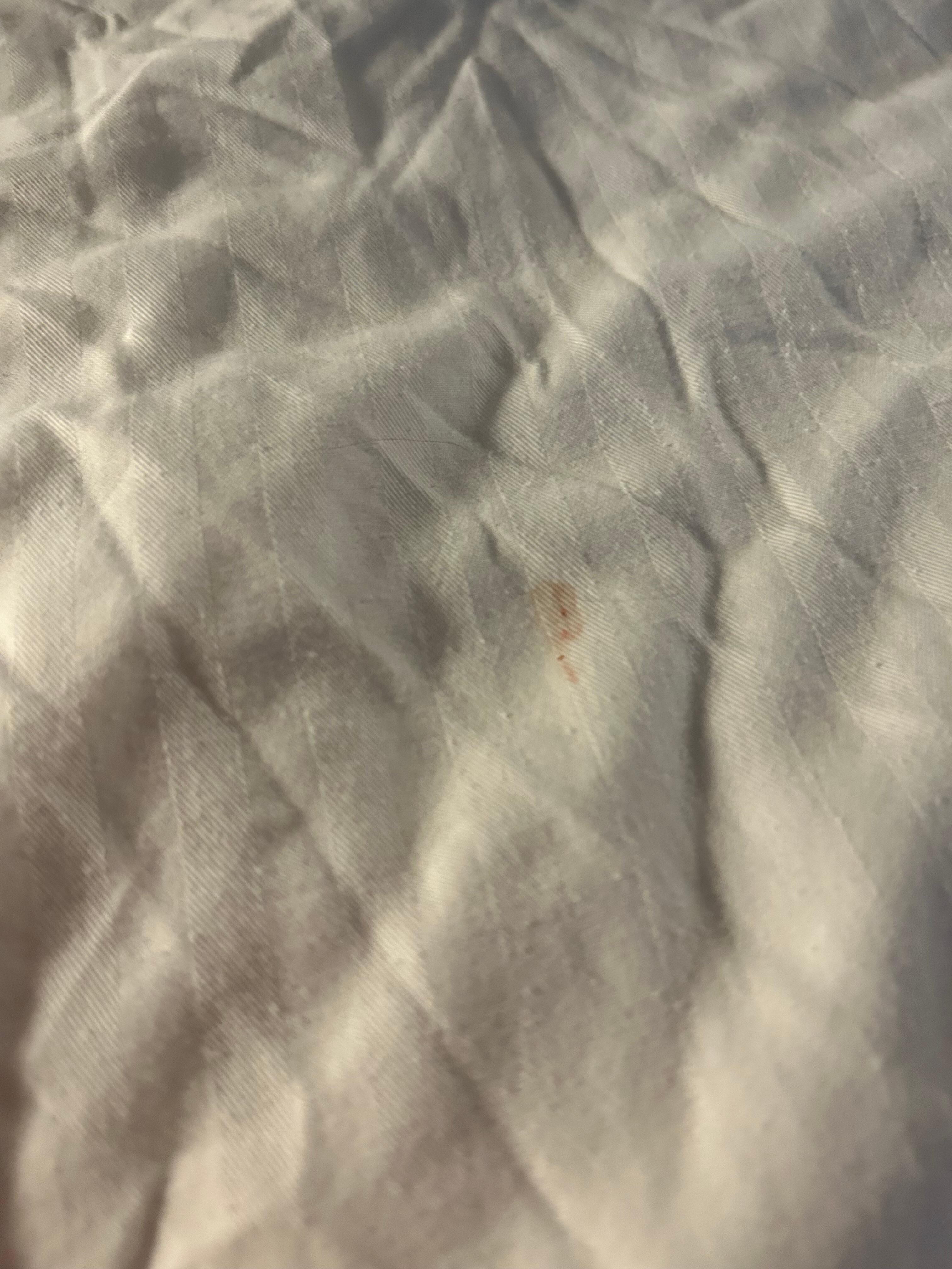 Bedding