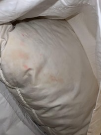 Pillow