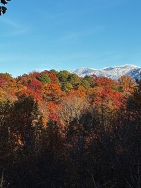 View from back porch and hot tub.