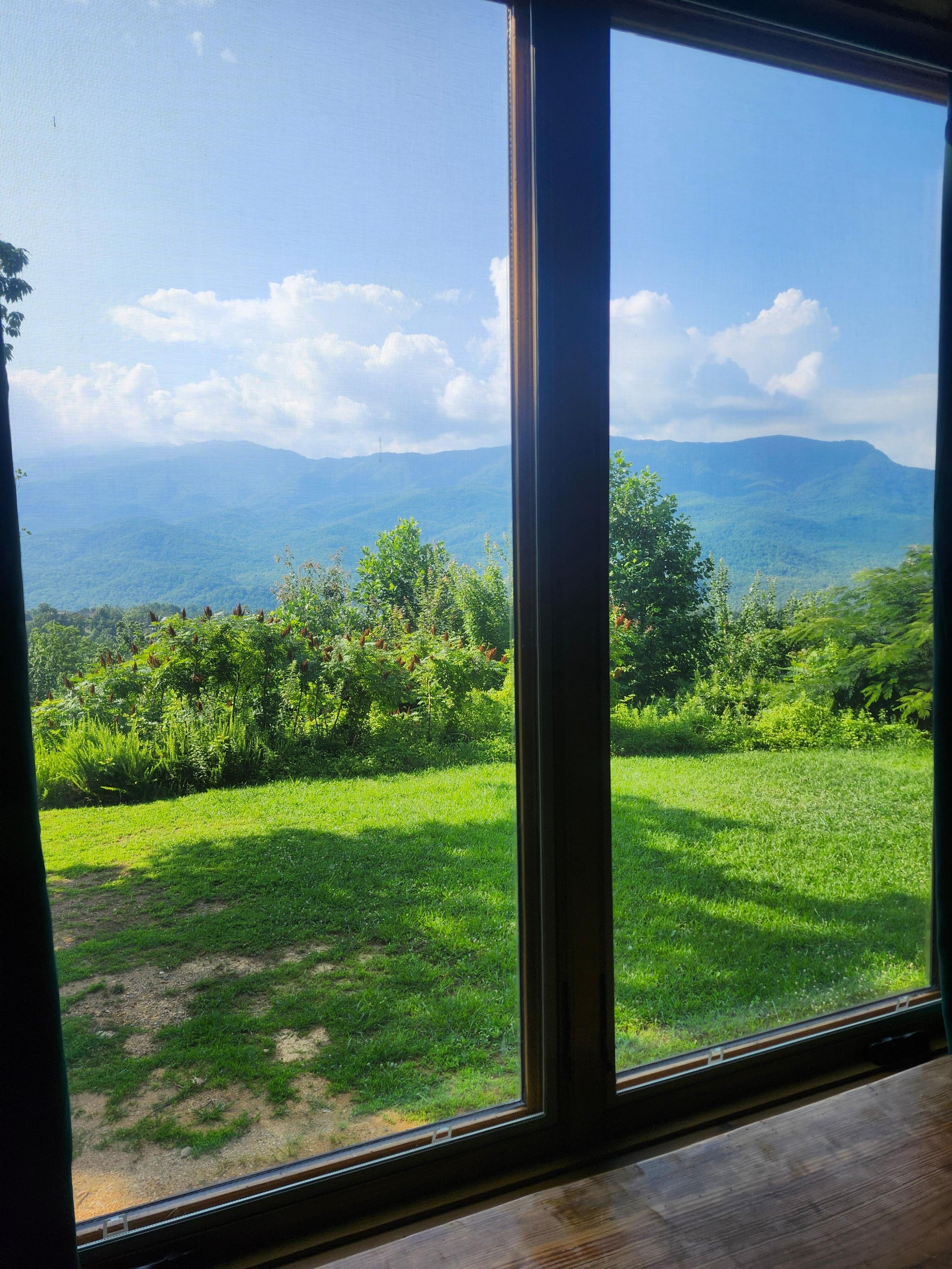 Bed room view