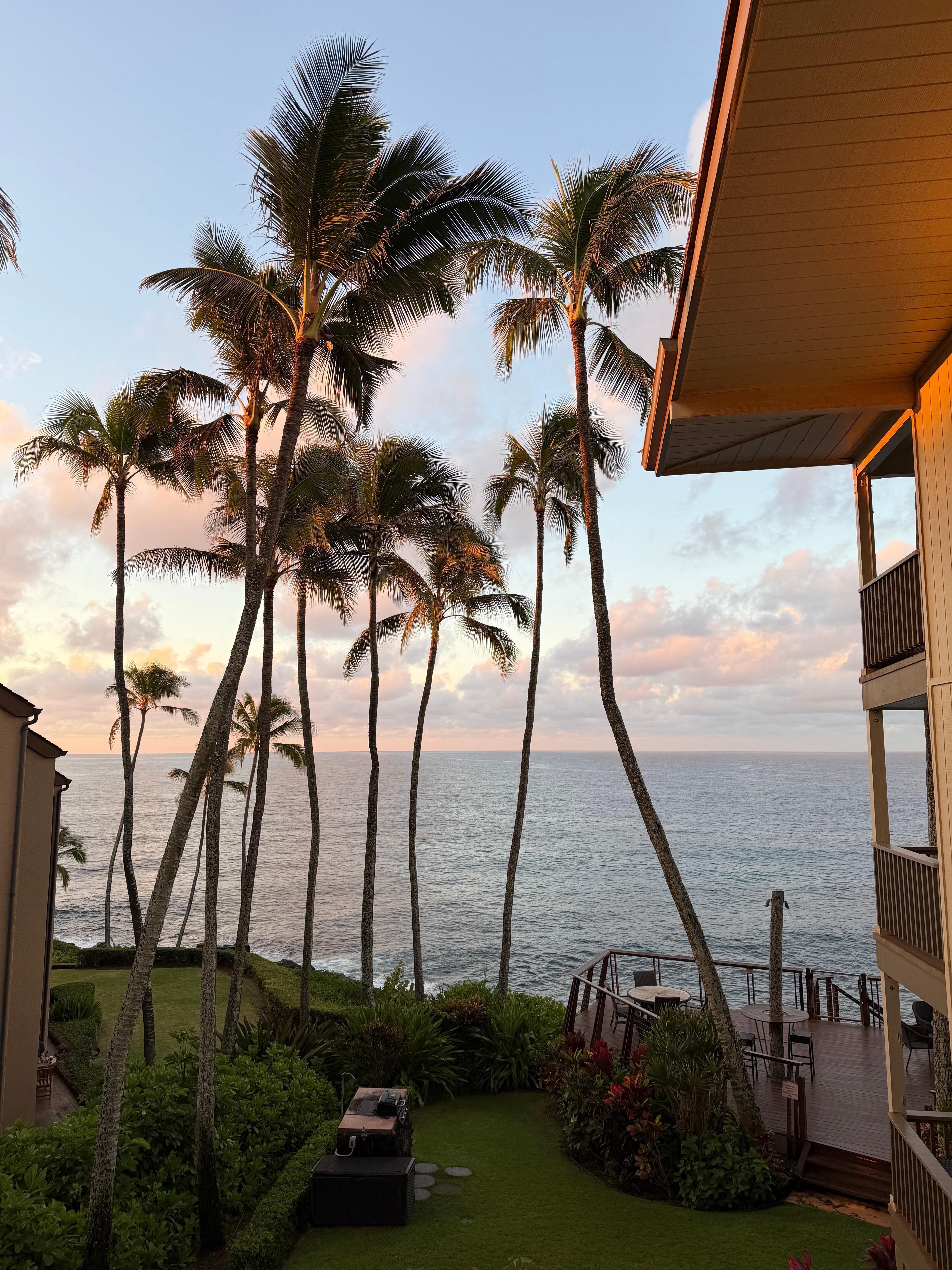 View from the lanai
