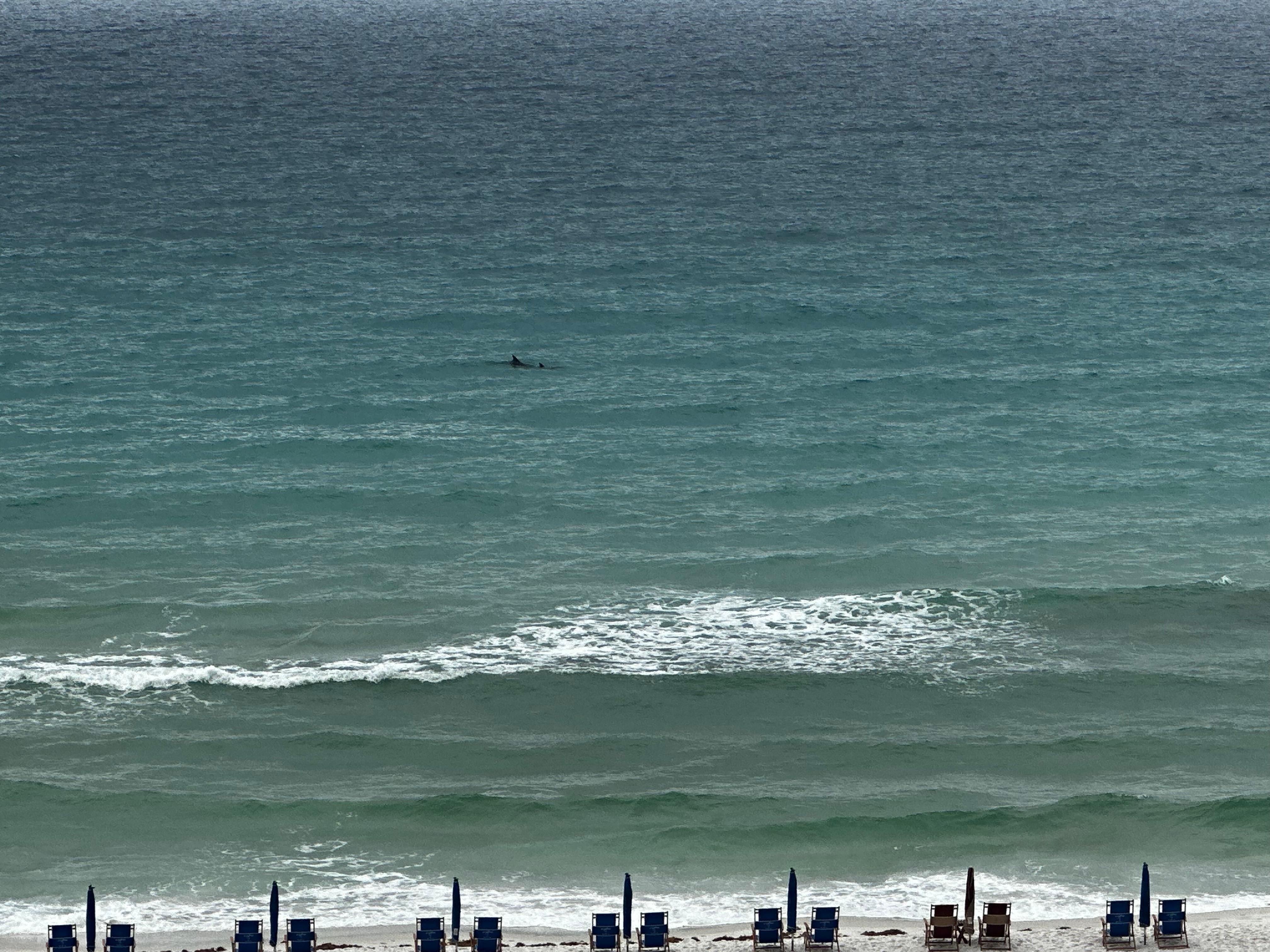 View from the balcony 