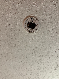 No fire alarm