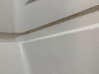 Weird mold in the tub.