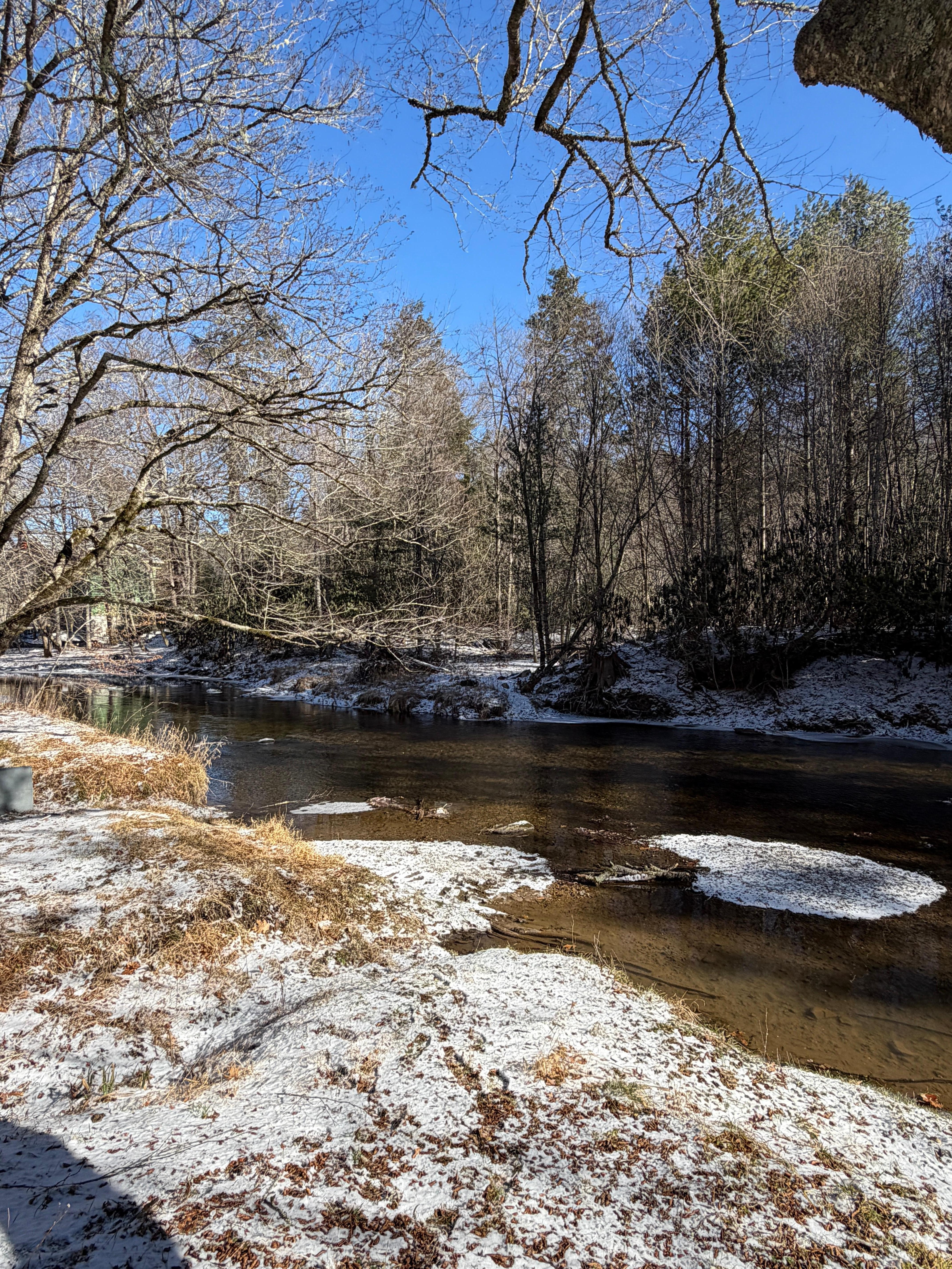 Creek behind the home