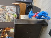 Blue Hound restaurant