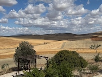 View at back of villa