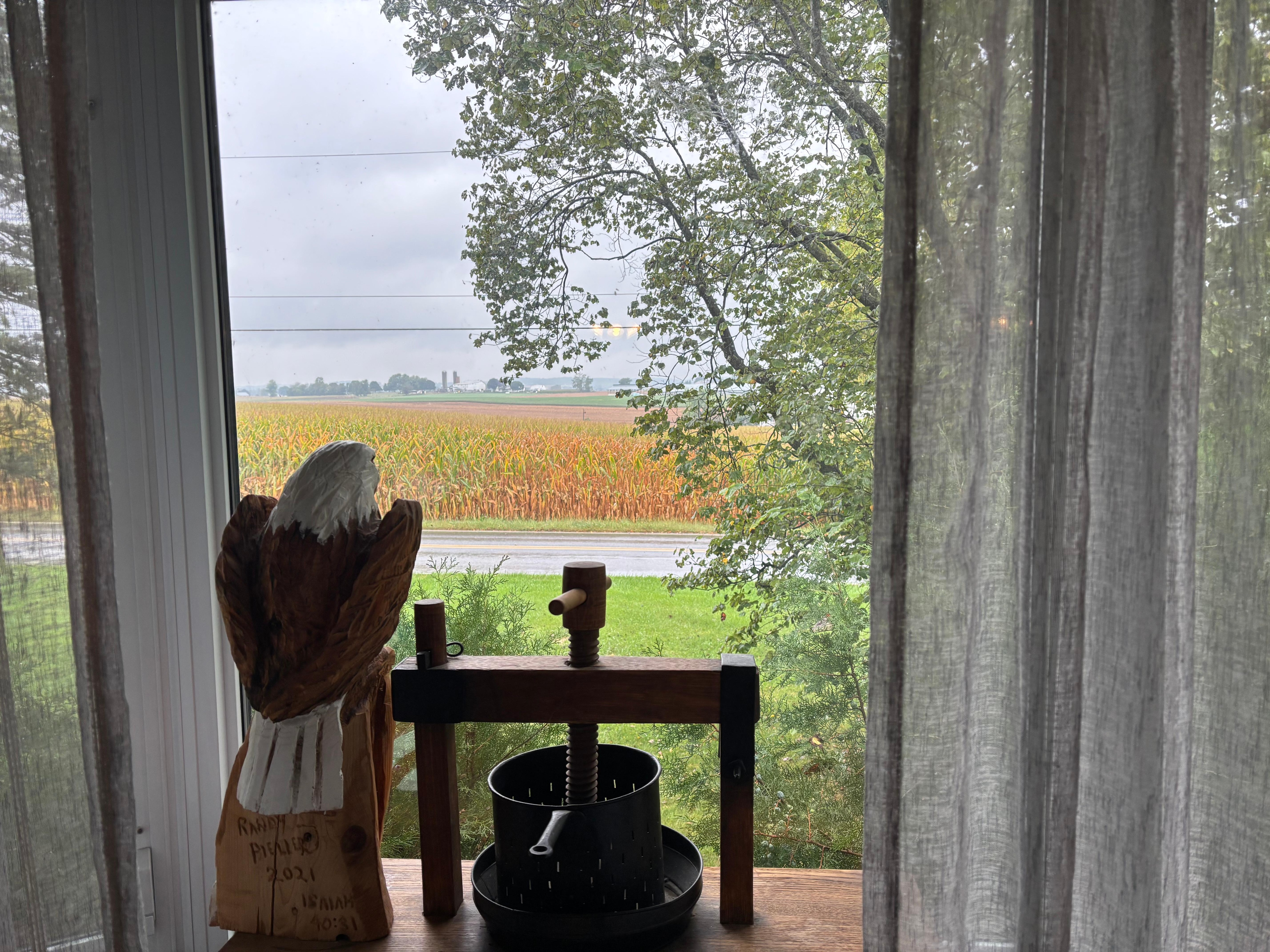 View from front window. 