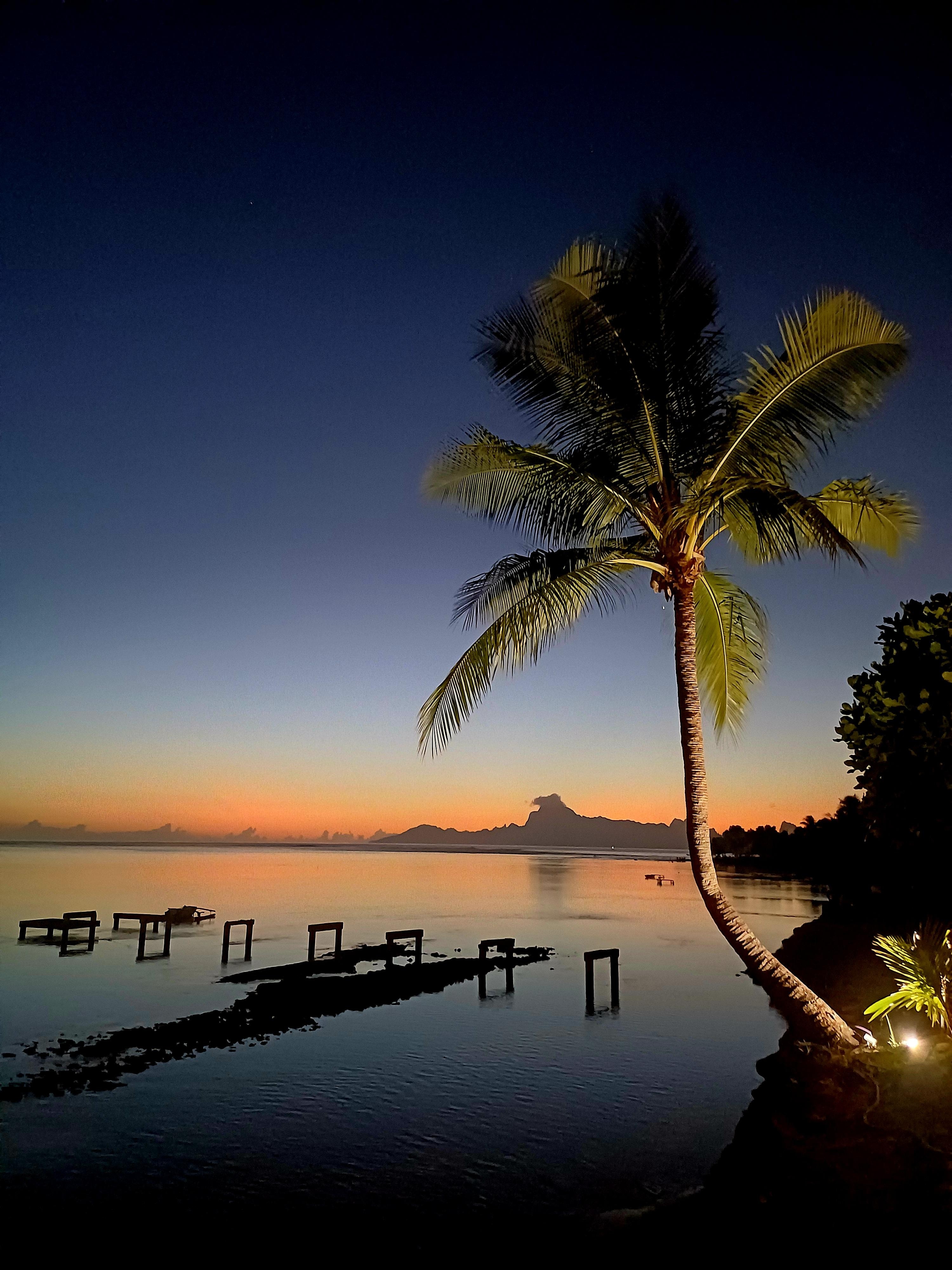 Sunset.