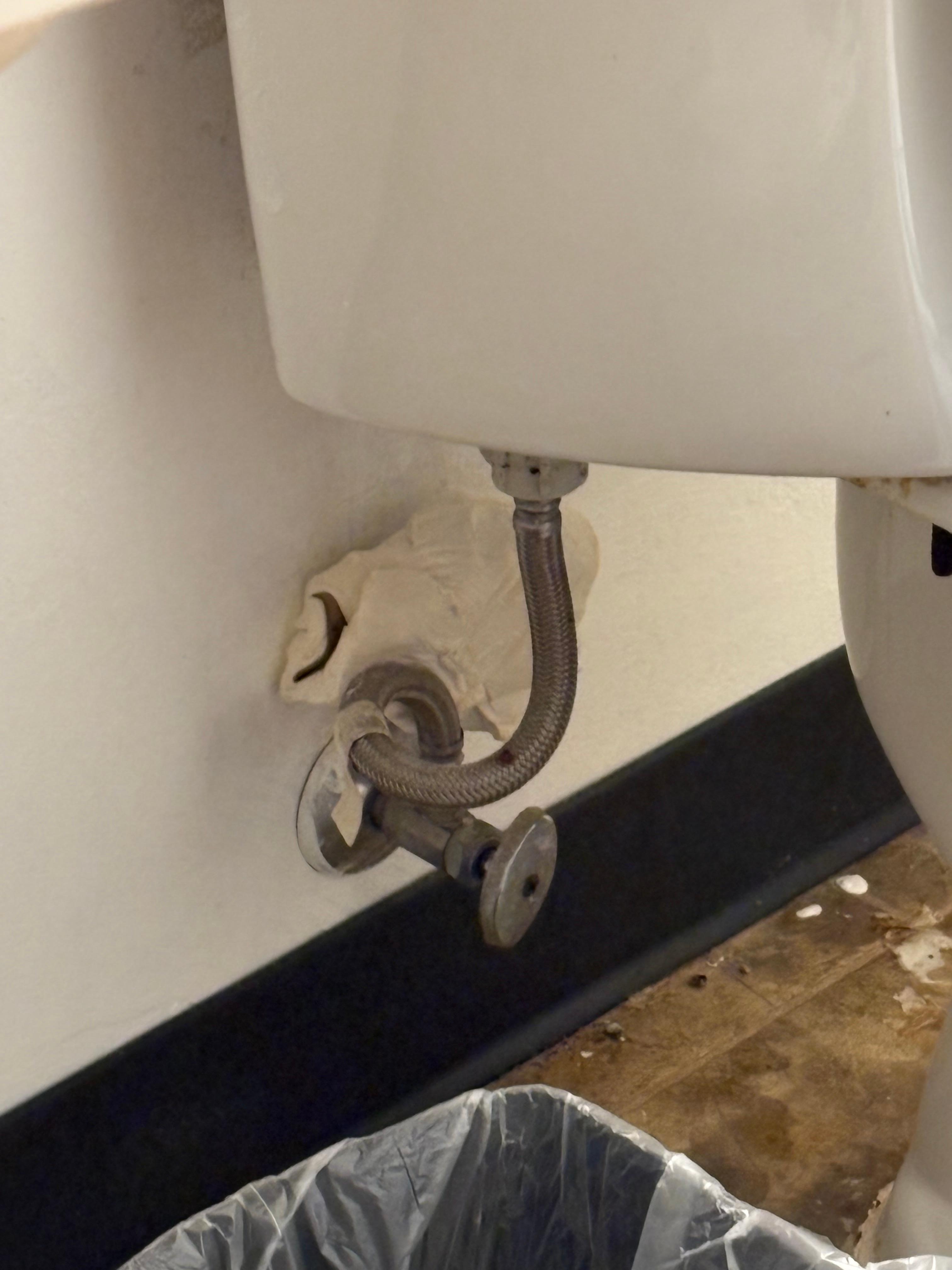 Toilet paper to absorb moisture- found there. 