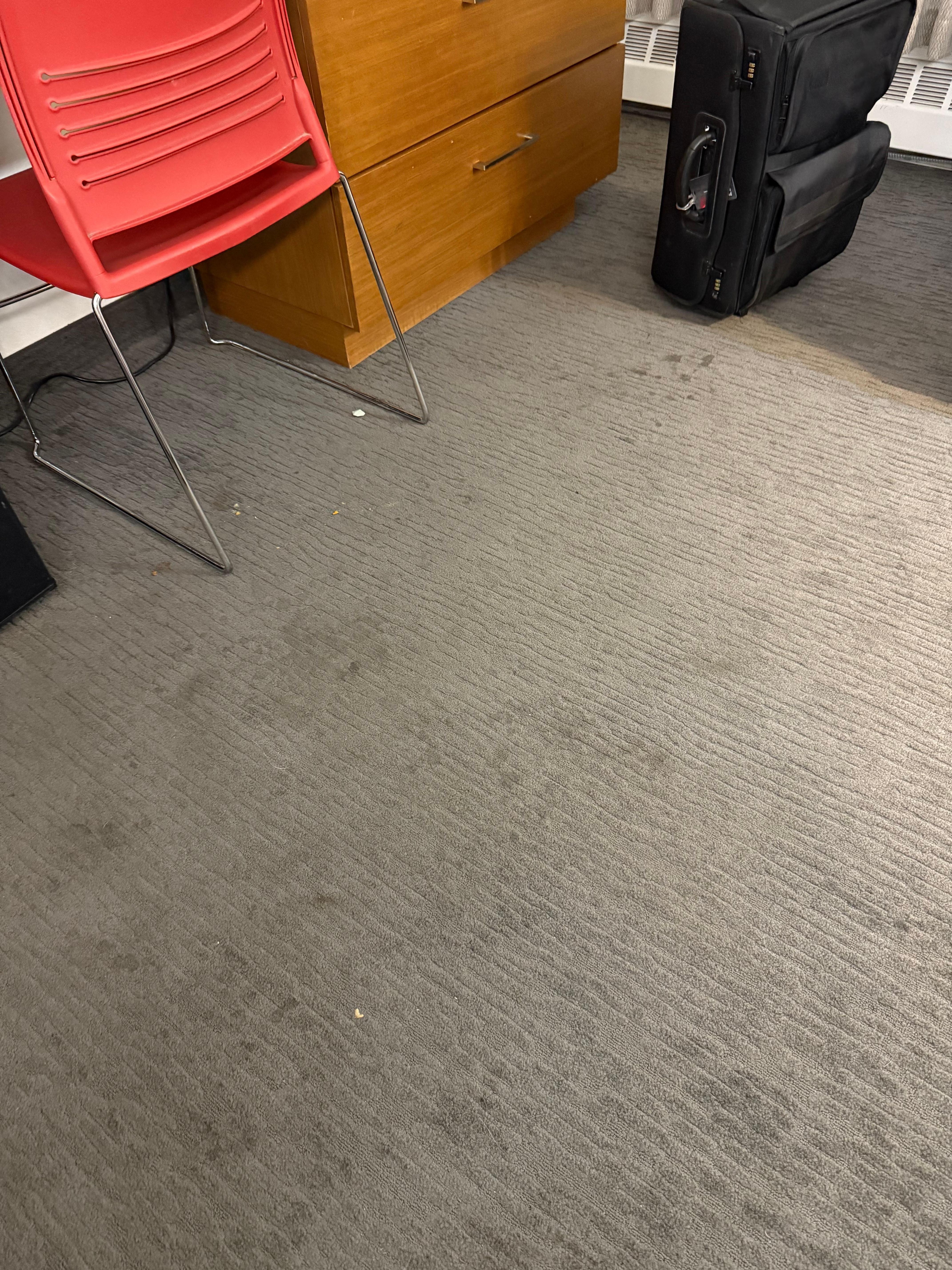 Carpet was in rough shape. 