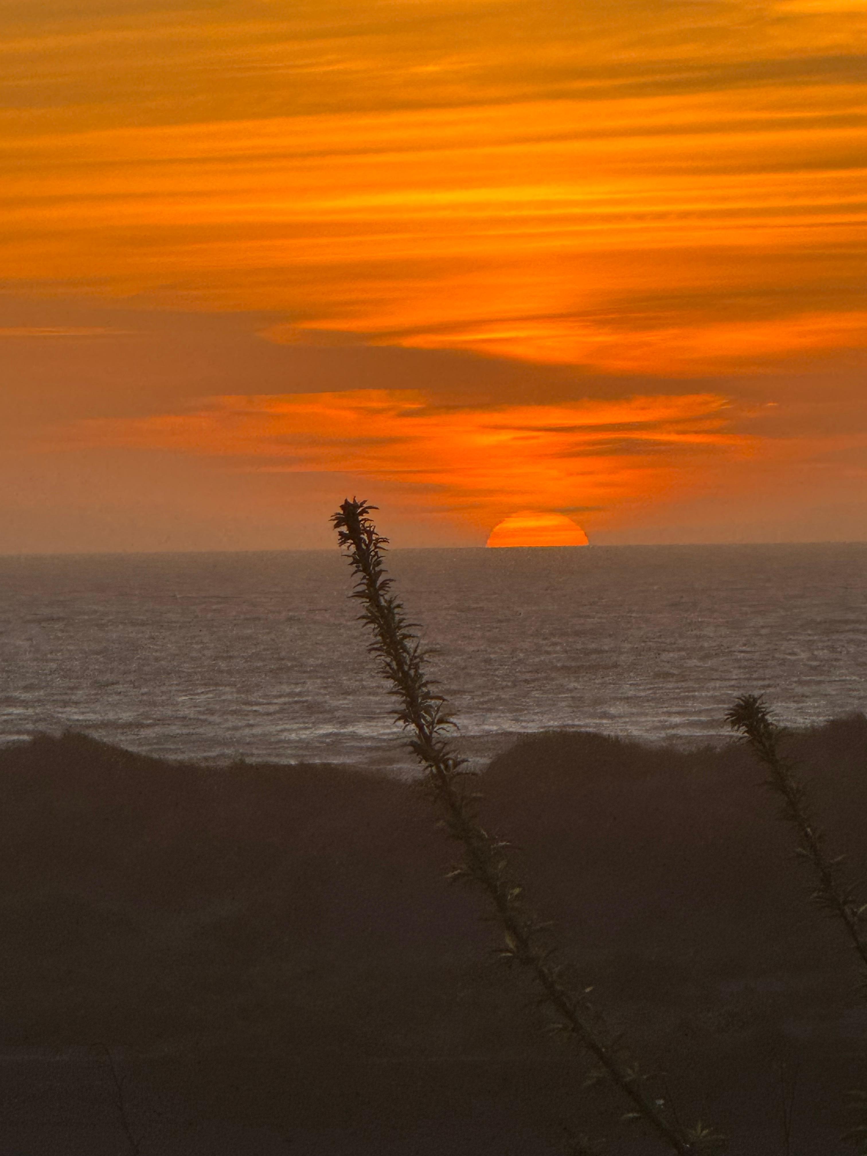 This sunset is beautiful 