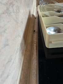Derrière la plaque de cuisson!
Et j’ai pas pris en photos le reste !