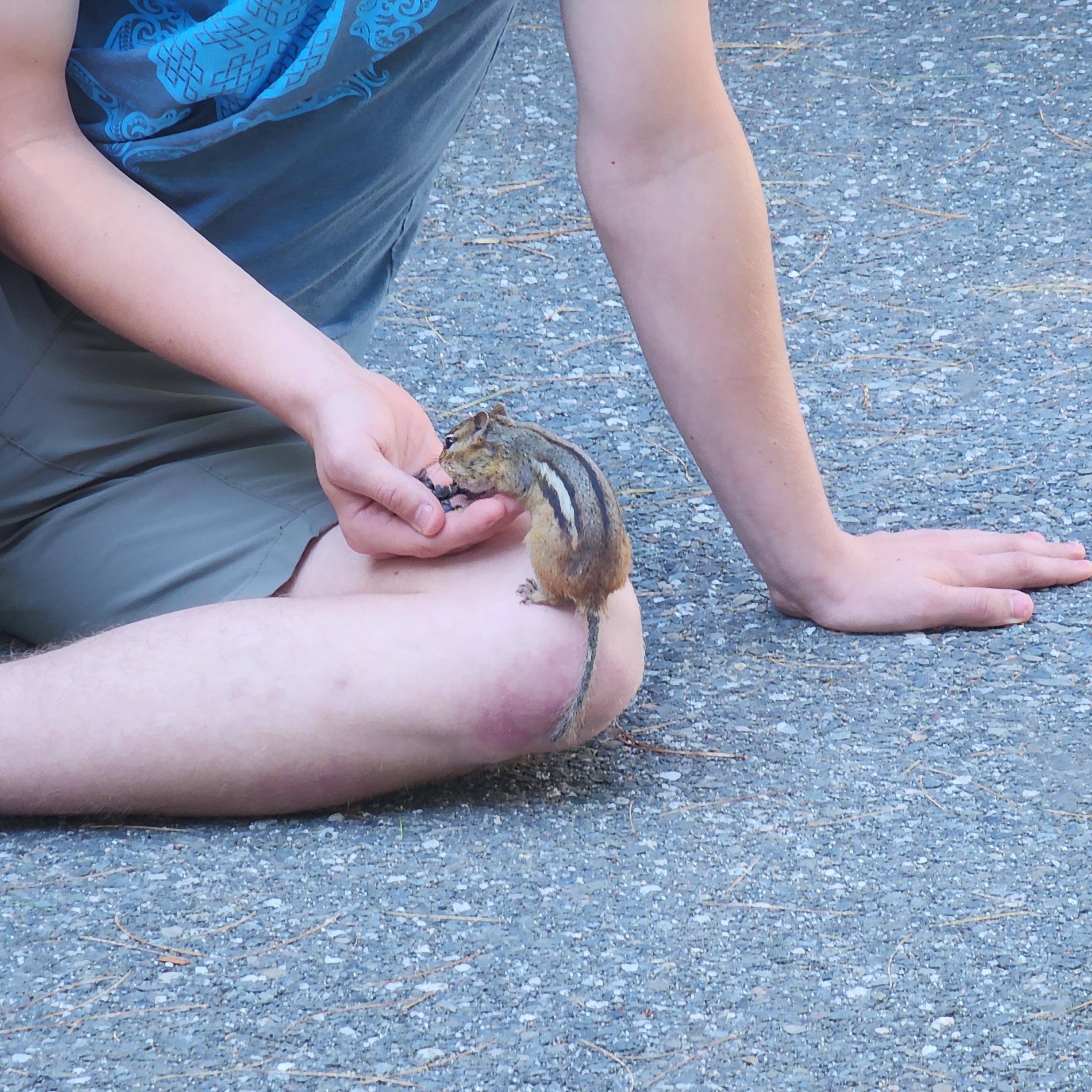 unbelievably cute and friendy 