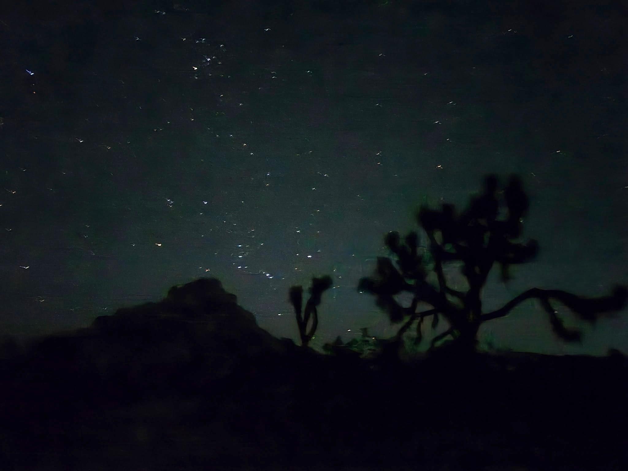 Joshua Tree 10/18 via cellphone camera