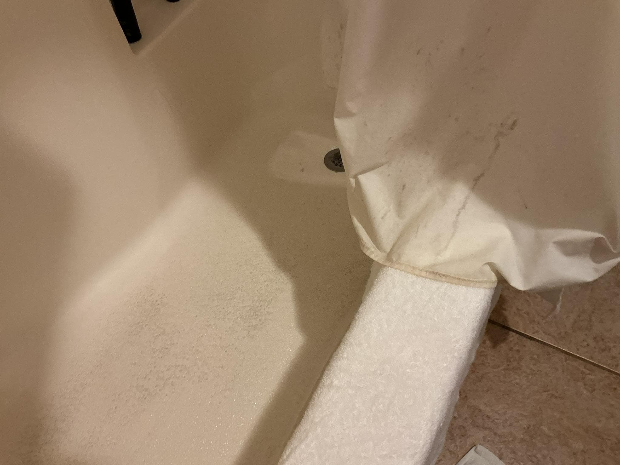 They definitely need to scrub the tub and replace the shower curtain.