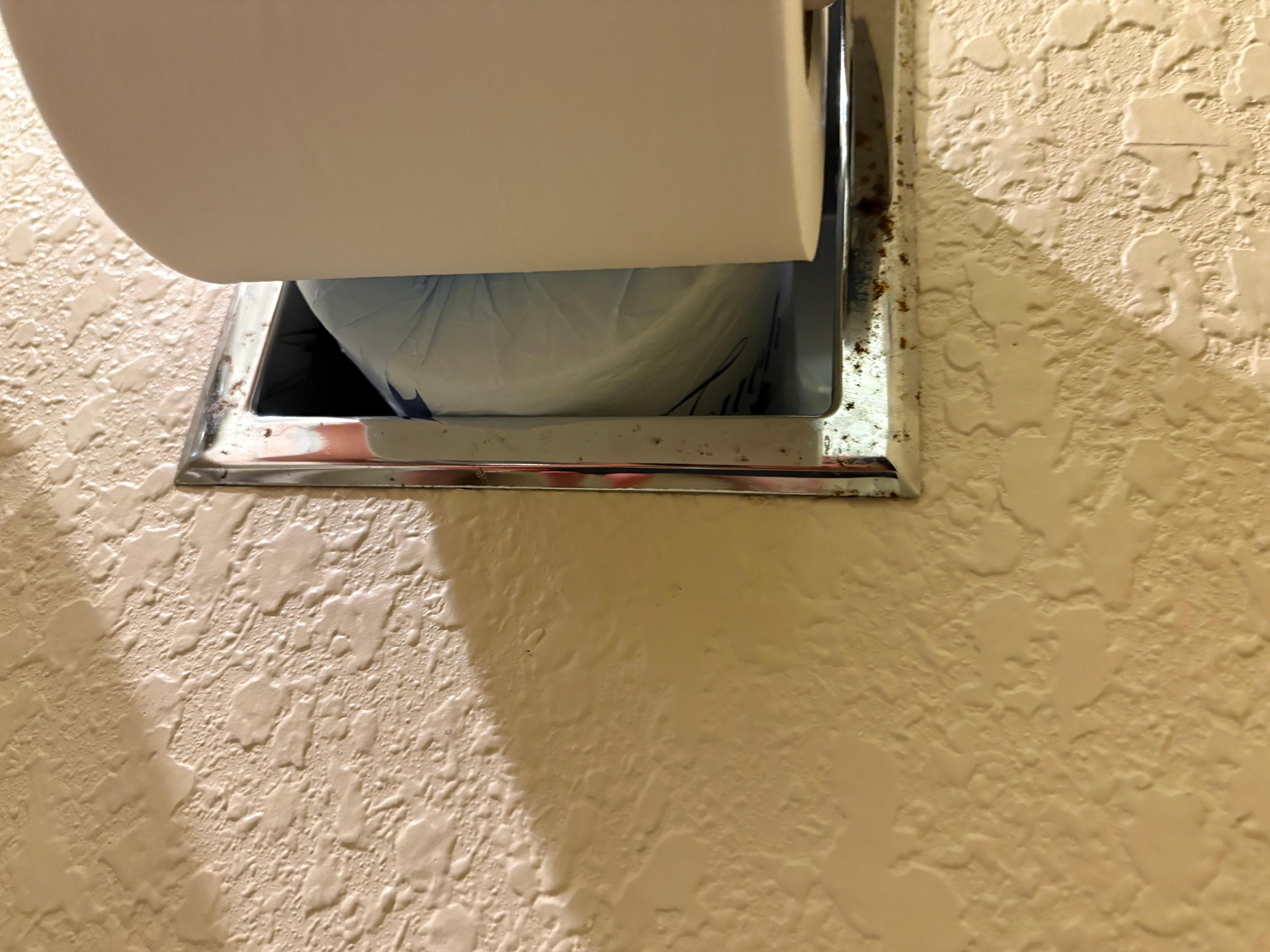 Rusted out nasty toilet paper holder