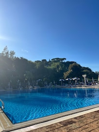 Olympic pool