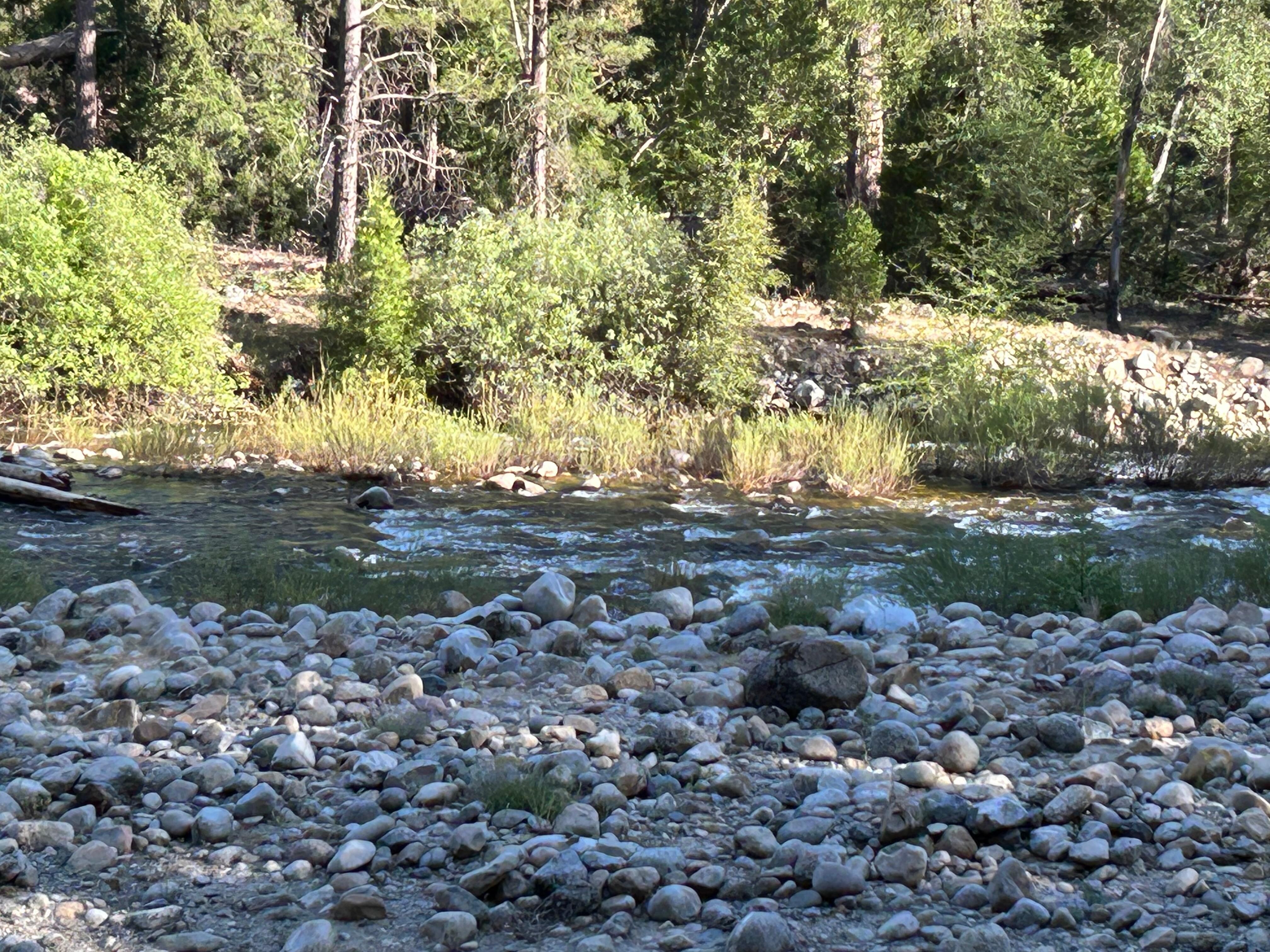 SO FORK OF THE MERCD RIVER FROM THE DOWNSTAIRS BEDROOM
