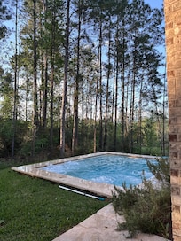 Hot Tub/Pool with wooded backyard